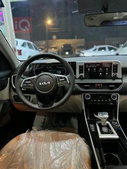 کیا سێلتۆس